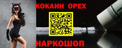 МДПВ Камышлов