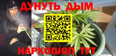 PSILOCYBIN Канаш